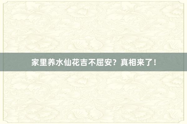 家里养水仙花吉不屈安?真相来了!